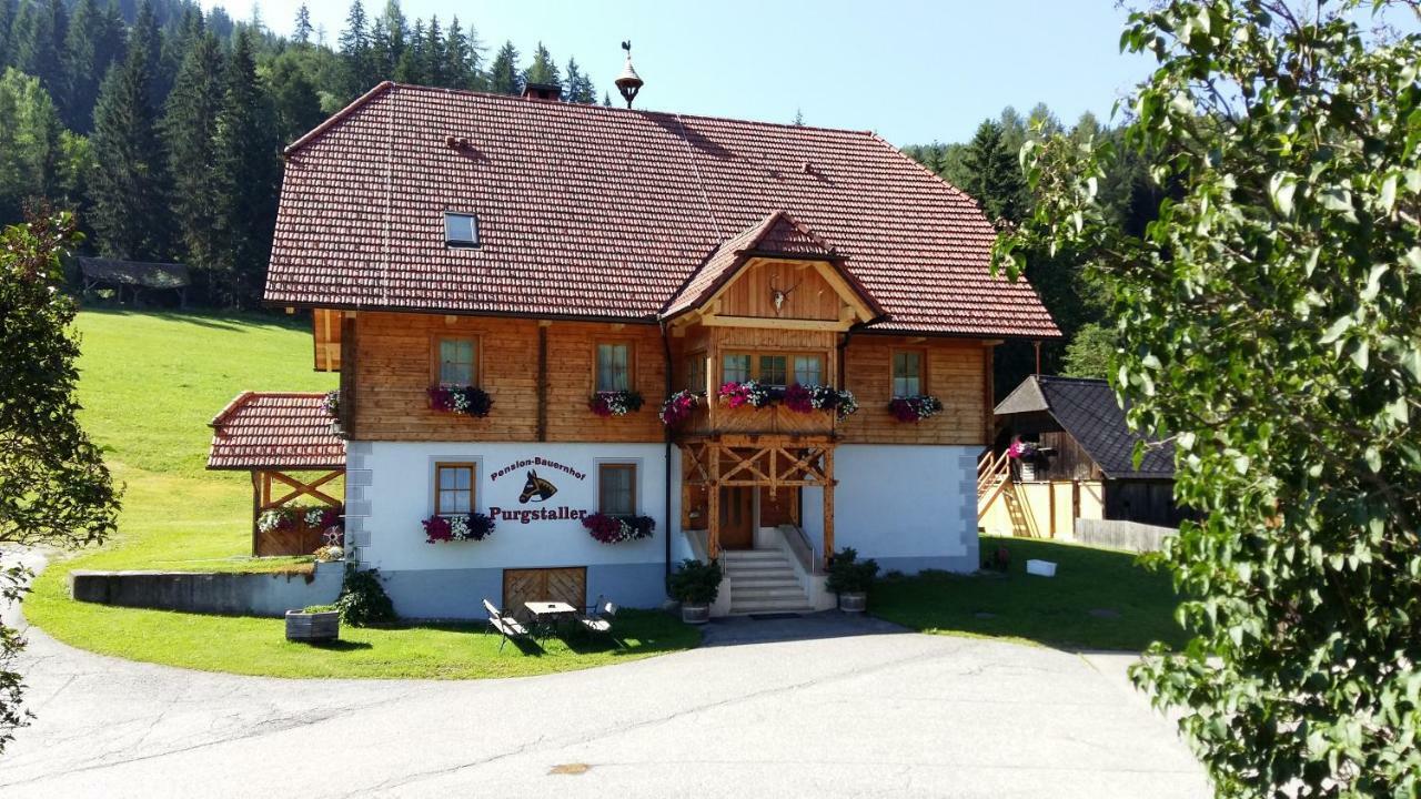 Pension - Bauernhof Sankt Lorenzen ob Murau Eksteriør billede